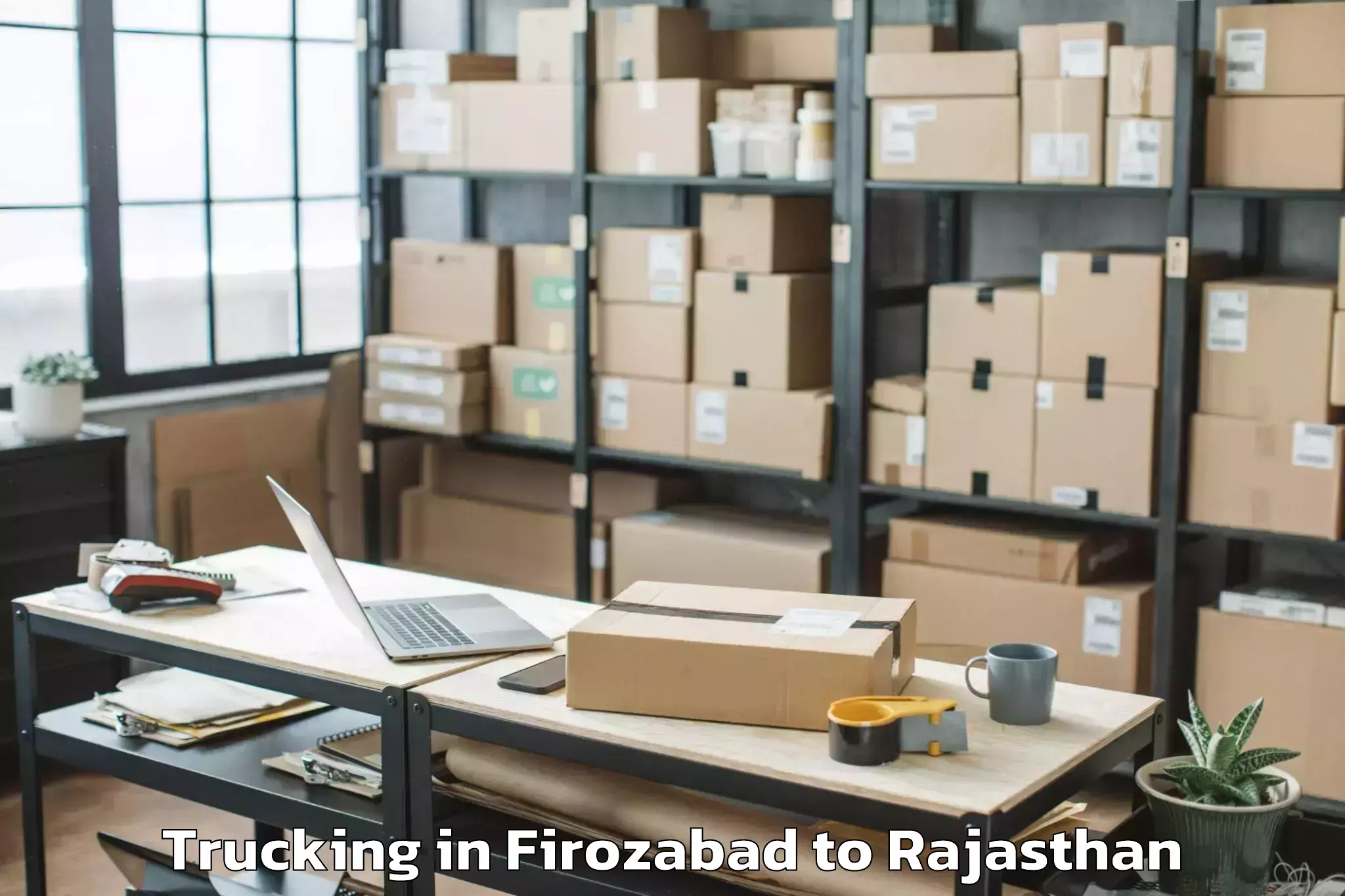 Professional Firozabad to Makrana Trucking